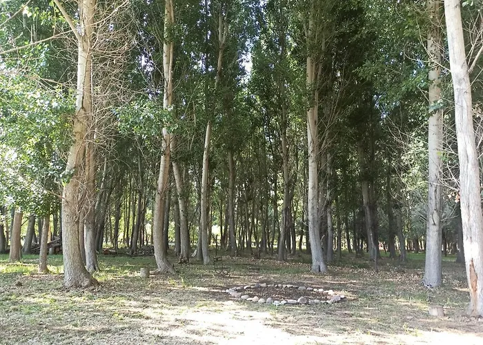 Cabana Ecologica
