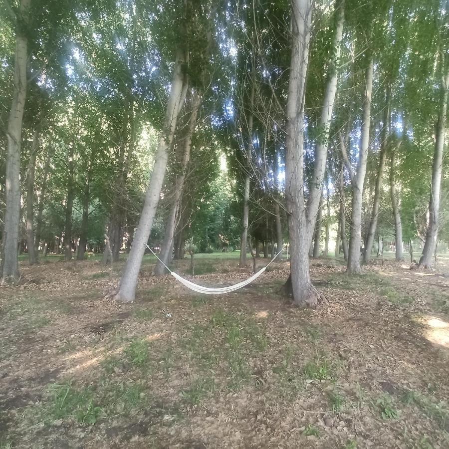 Chalet Ecologica