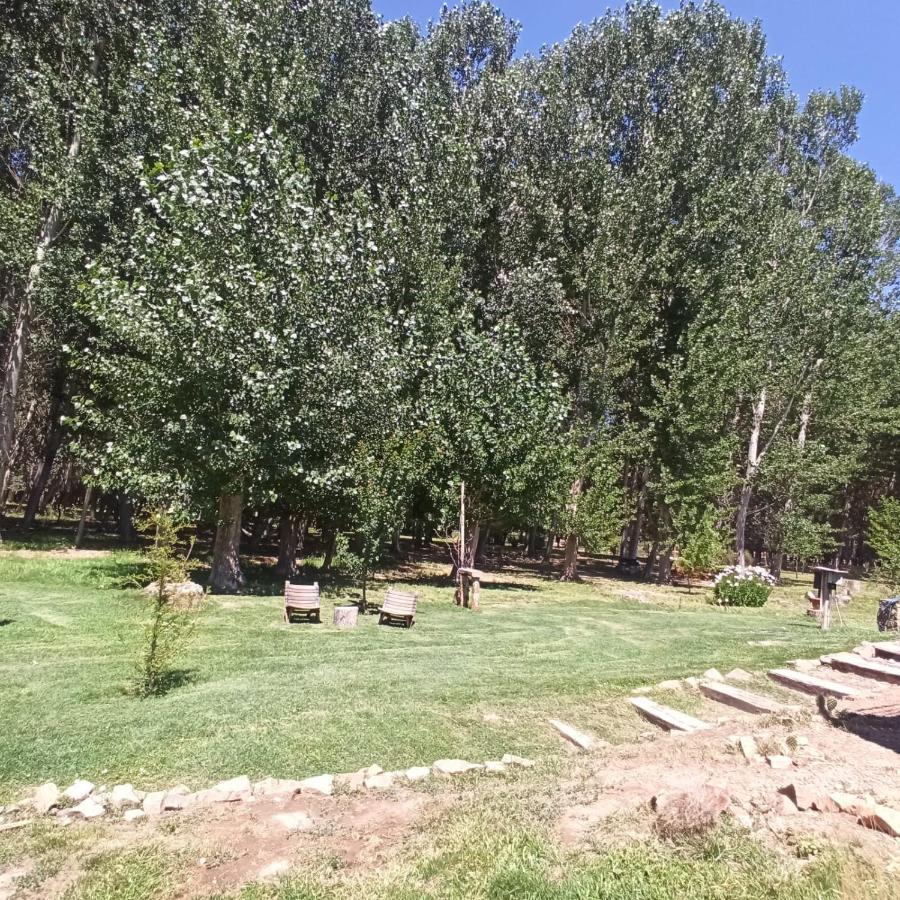 Ecologica Chalet Uspallata